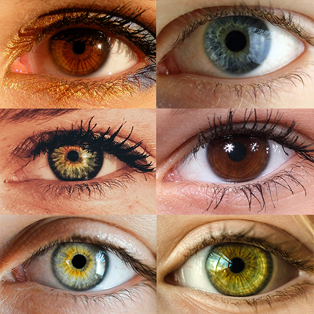 yellow green eye color