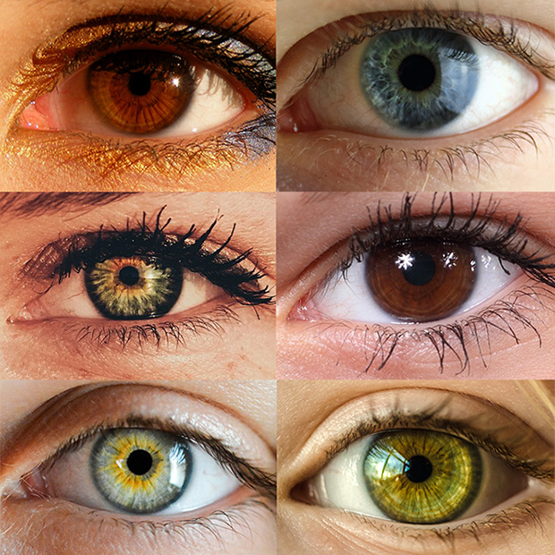 yellow green eyes